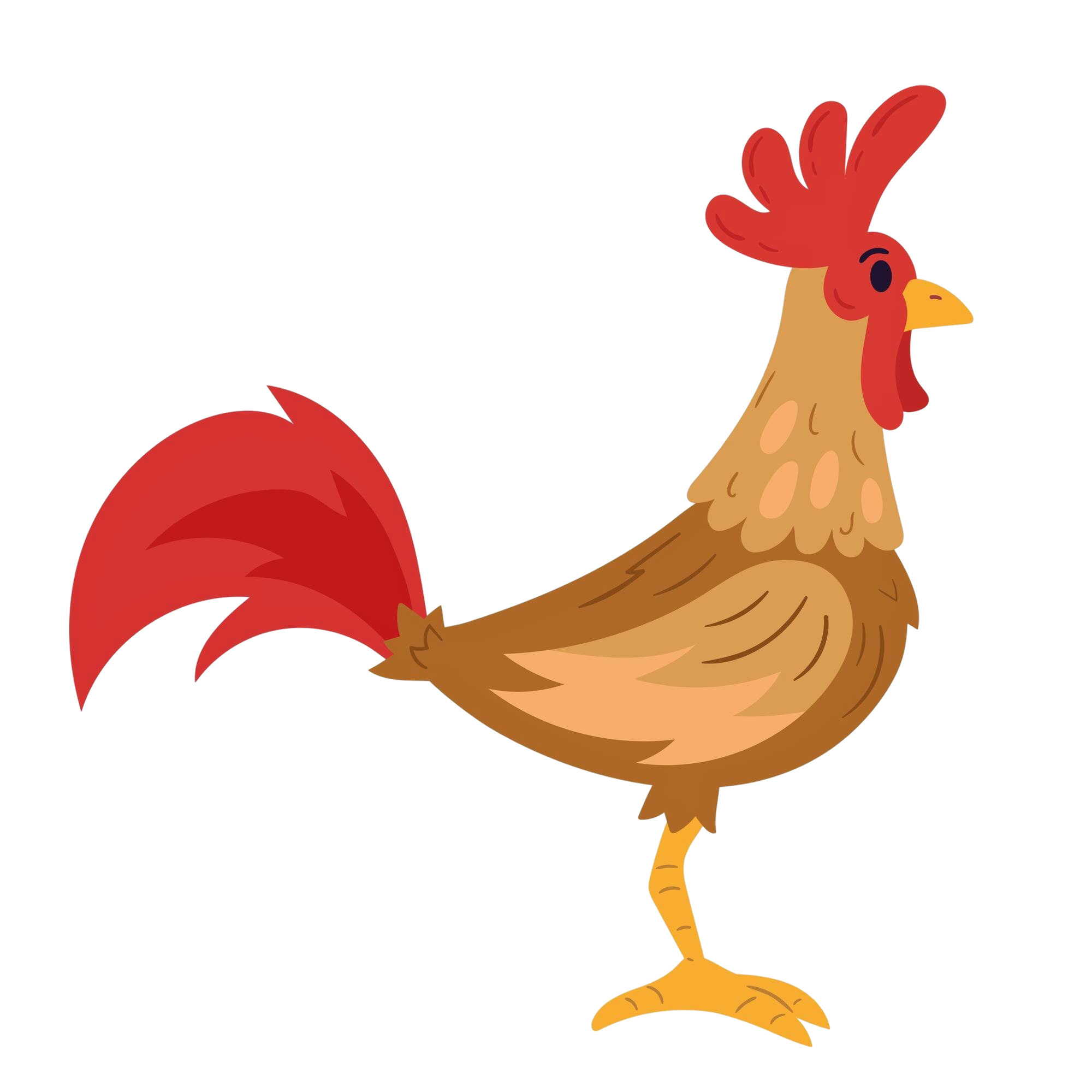 Rooster